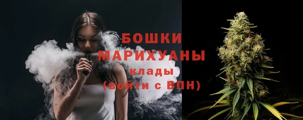 индика Медвежьегорск