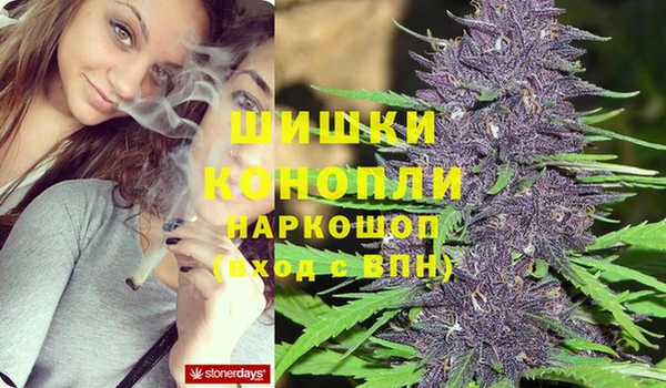 ешки Мегион